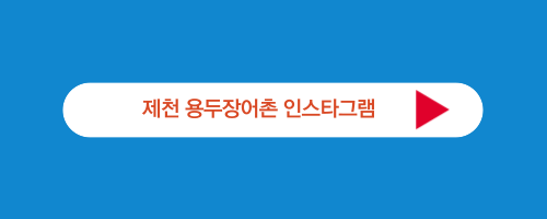 제천맛집 : 용두장어촌