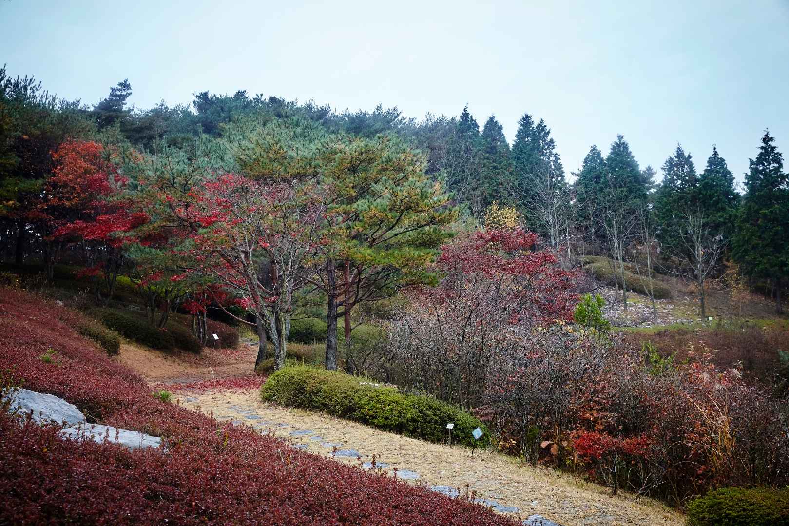 안면도수목원