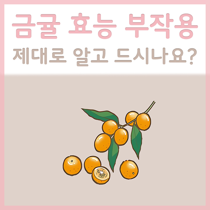 금귤