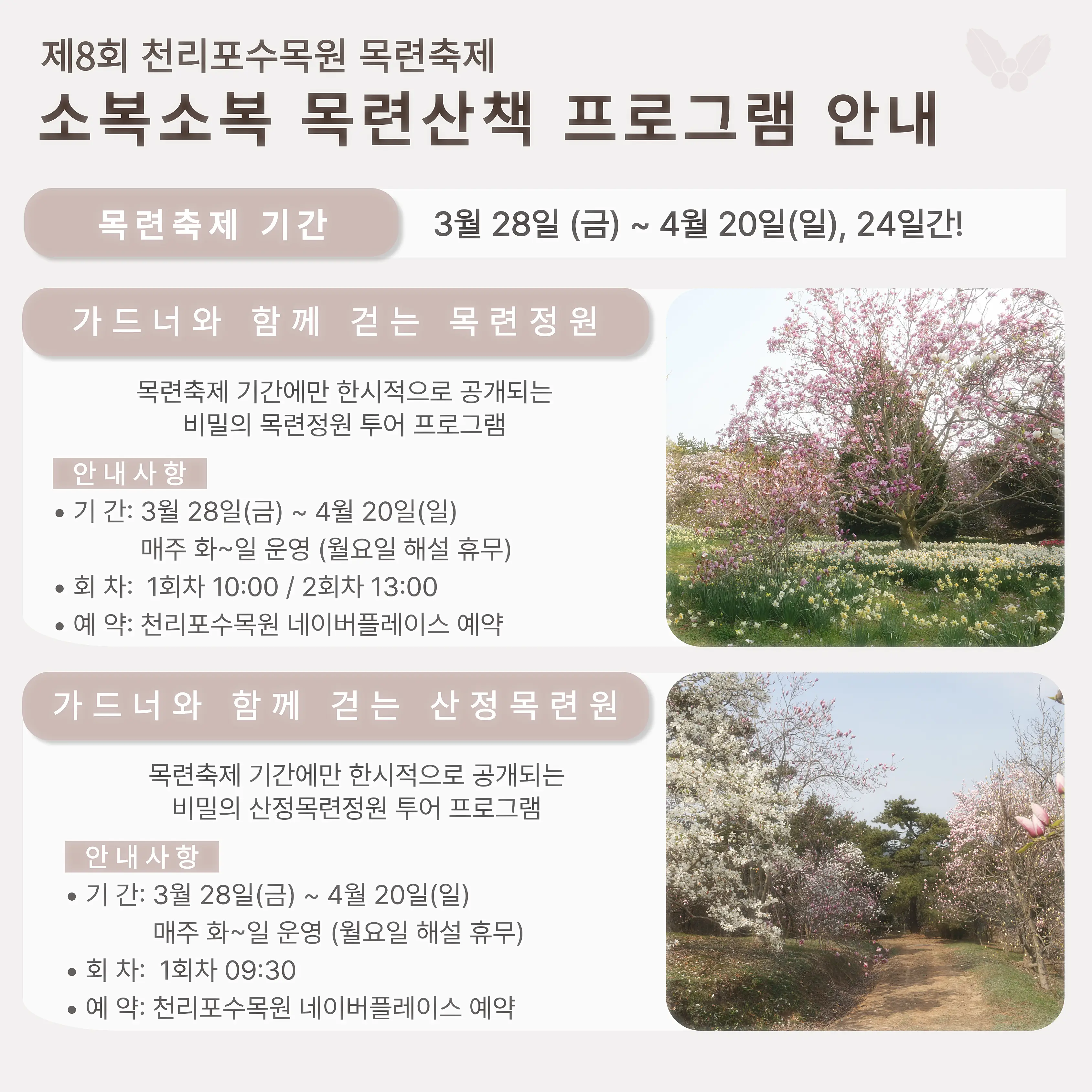 제8회 소복소복목련산책 프로그램 내용 이미지