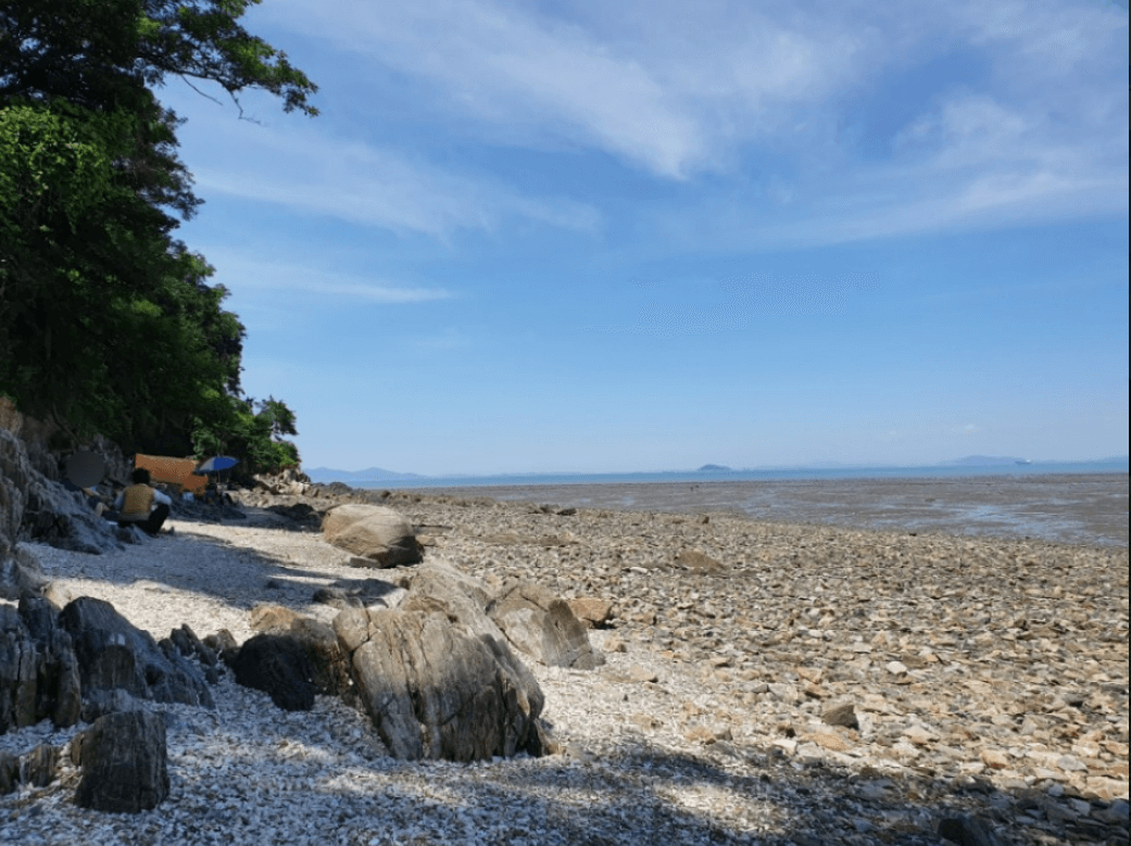 구봉솔숲 해수욕장 (안산시)
