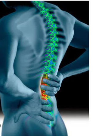 허리디스크 증상