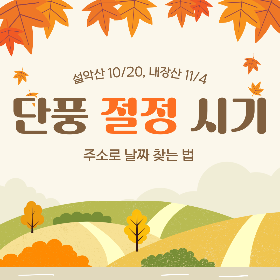 2026 단풍 절정 시기