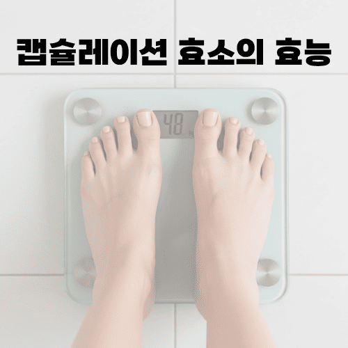 캡슐레이션 효소