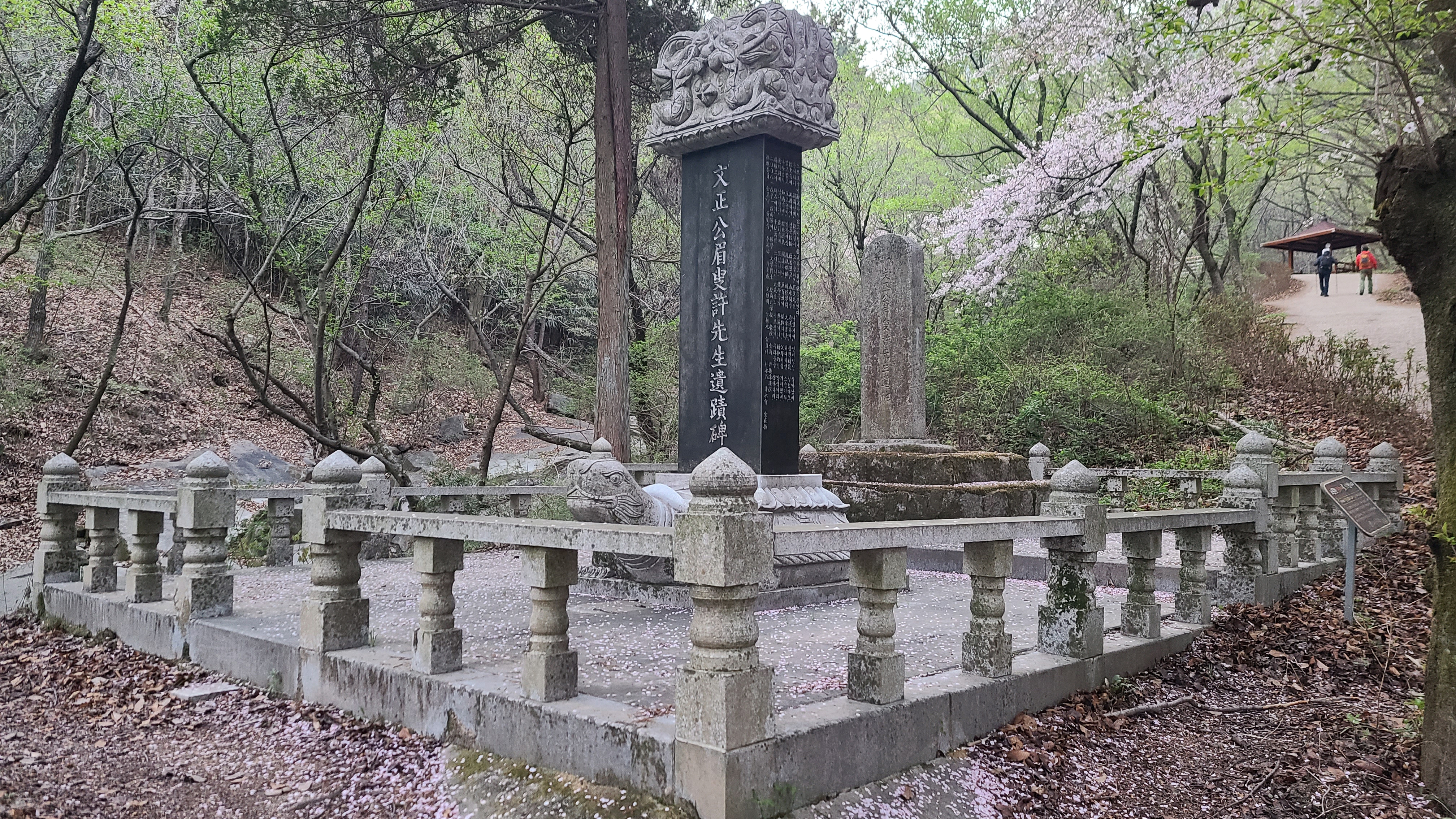 창원 천주산 진달래꽃 축제