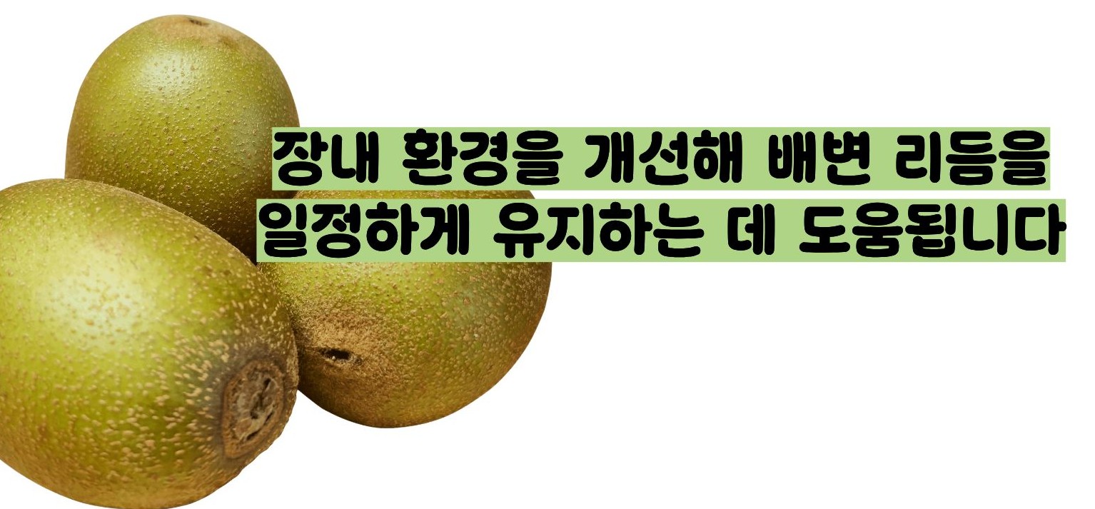 키위 효능