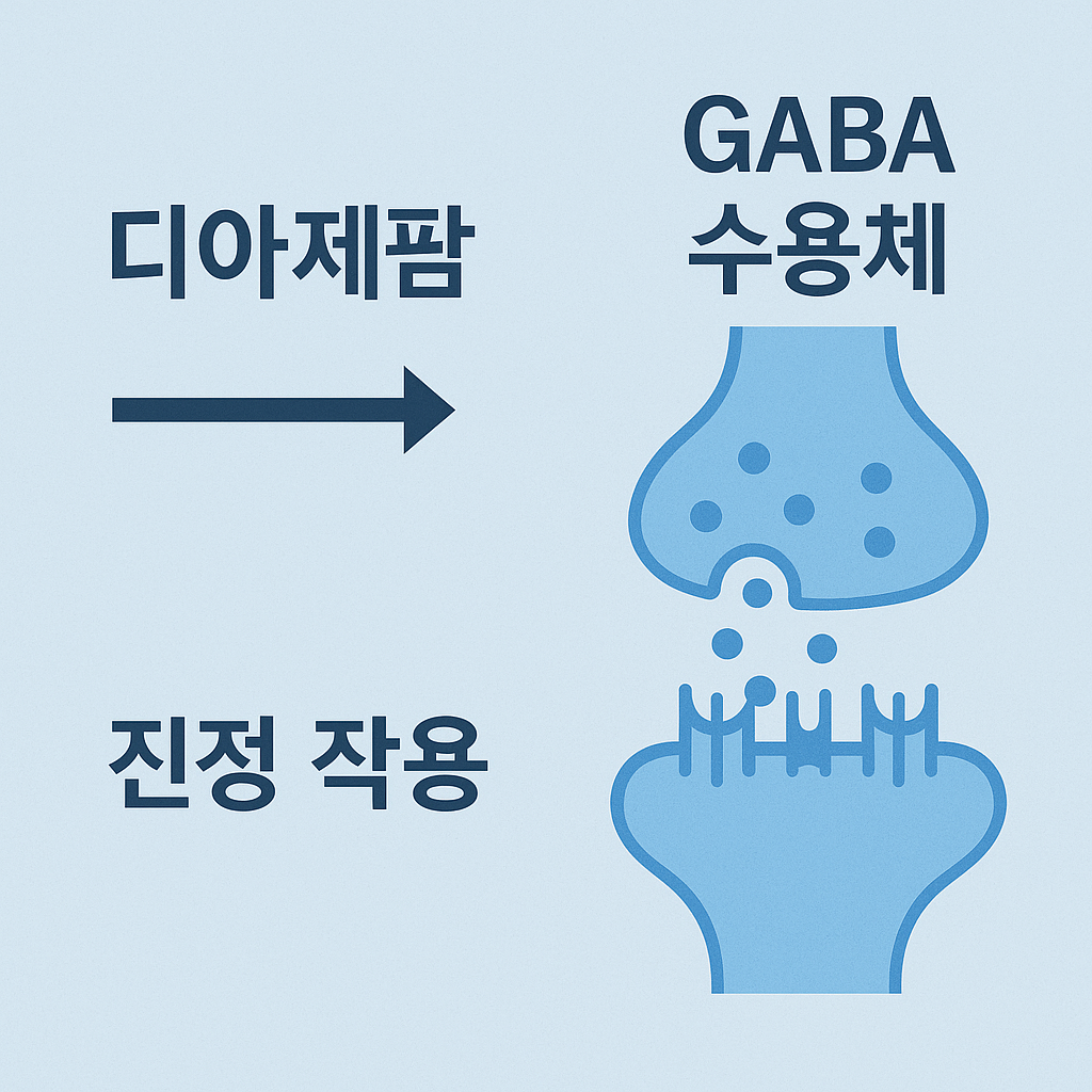 디아제팜 GABA수용체 인포그래픽