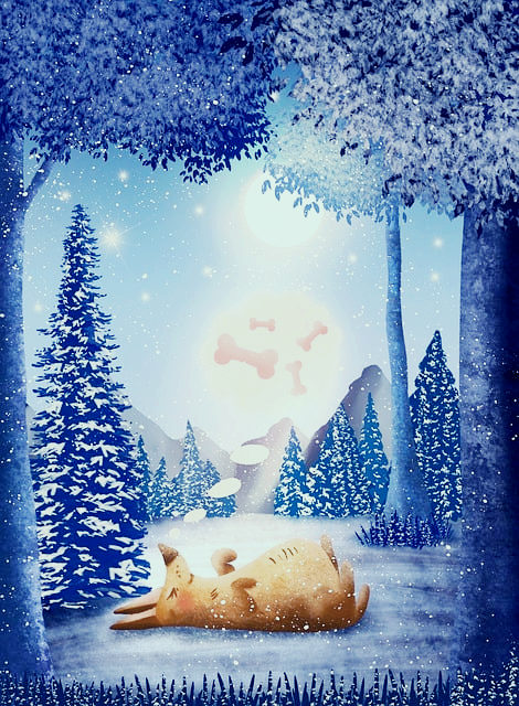 이빨 빠지는 꿈 해몽