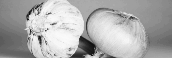 2~3일 정도 밭에서 건조를 시킨 뒤 수확