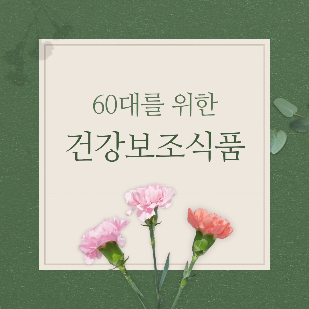 60대 필수 건강 보조 식품 추천