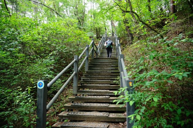 숲속 계단길, 남성 1, 오르고 있음, 왼쪽 계단 기둥에 관악산둘레길 화살표,