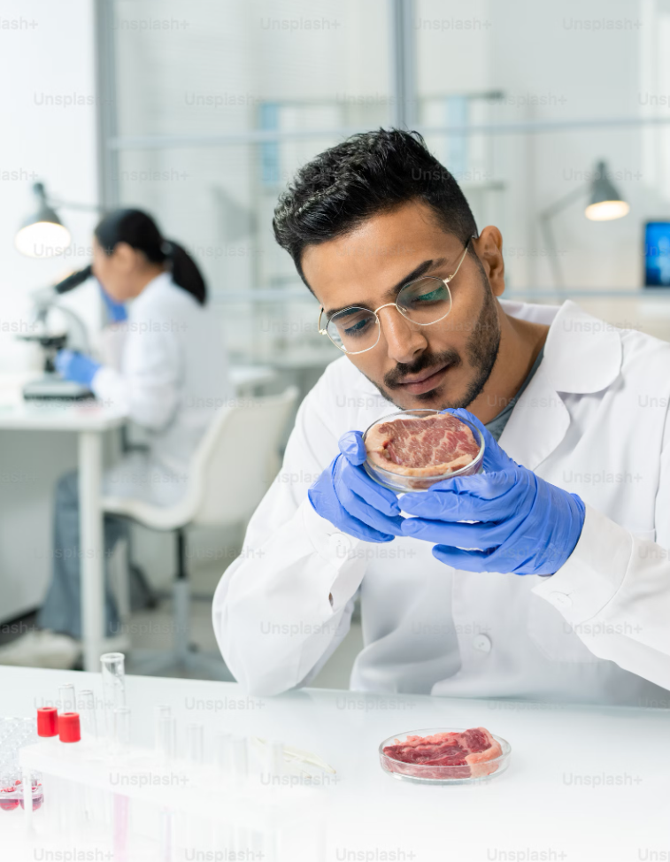 고기는 고기인데, 동물은 안 죽었다고?