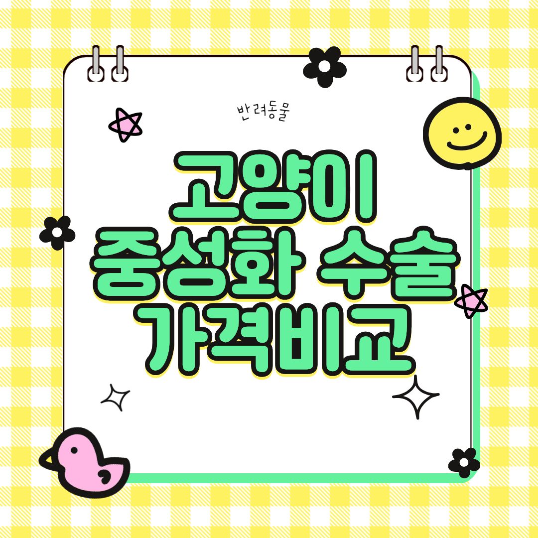 고양이 중성화 수술비, 병원별 가격 비교해봤어요