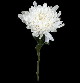 이용기 대전 시의원 좌우명