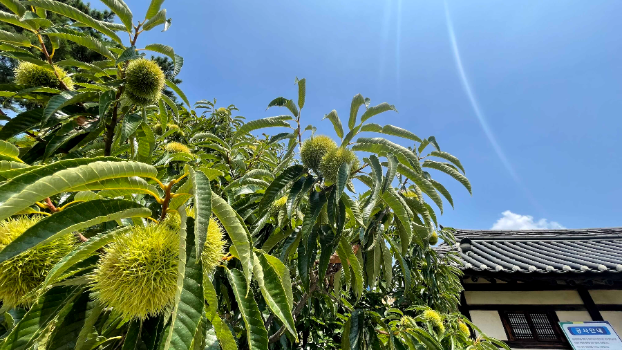 아산 외암민속마을