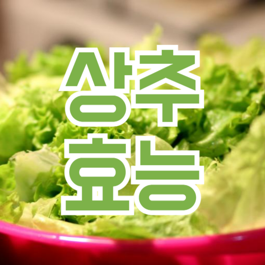 상추 효능, 다이어트 식품!? FAQ!?