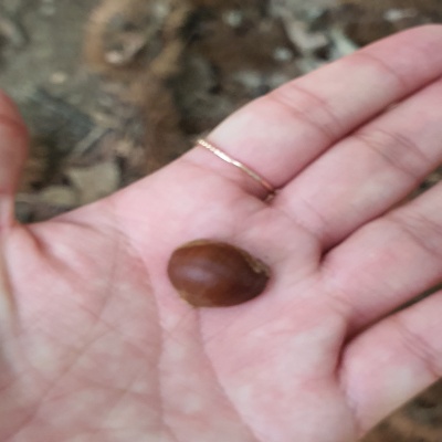 북한산백운대등산코스초보코스