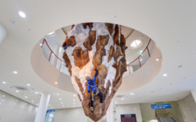 국립산악박물관