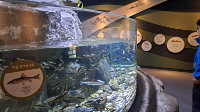 단풍명소_화담숲_자연생태관