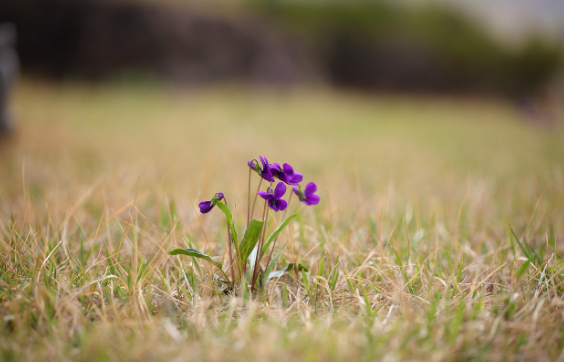 정부24 사이트 안내