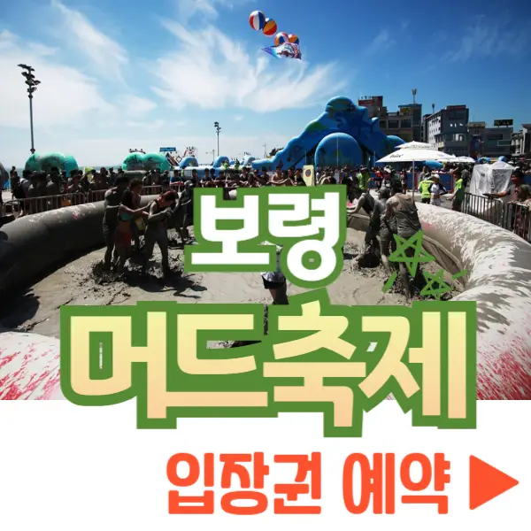 보령 머드축제 입장권 예약