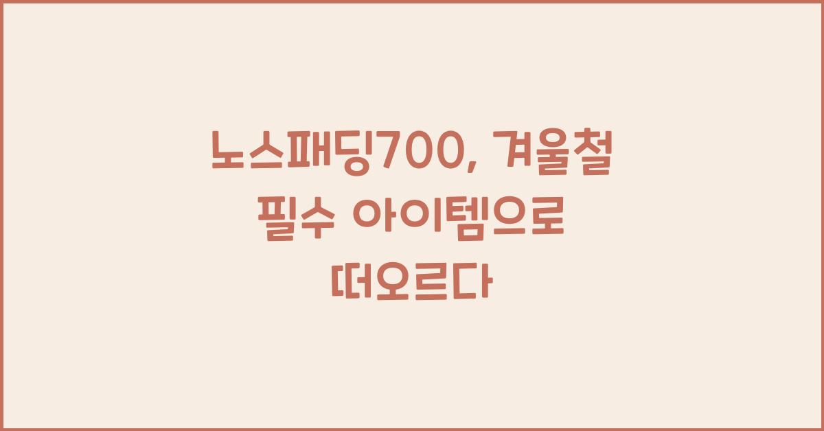 노스패딩700