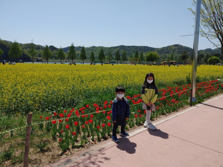 남지 유채공원4