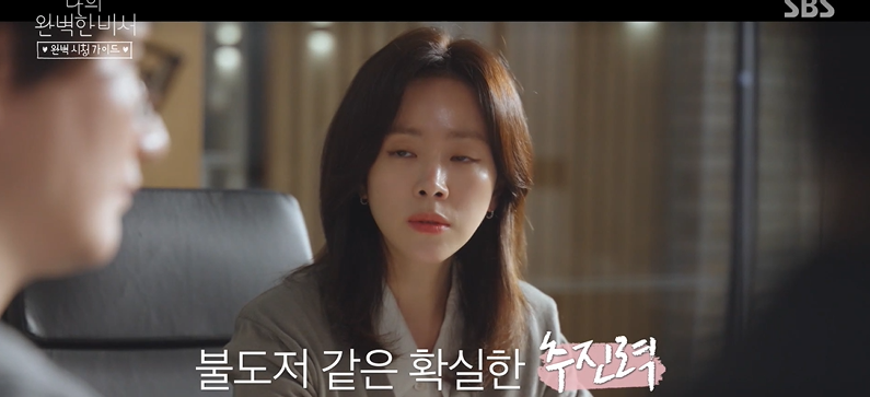 나의 완벽한 비서 정보