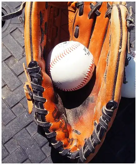 2024 WBSC 야구 프리미어 12 군면제 가능할까?