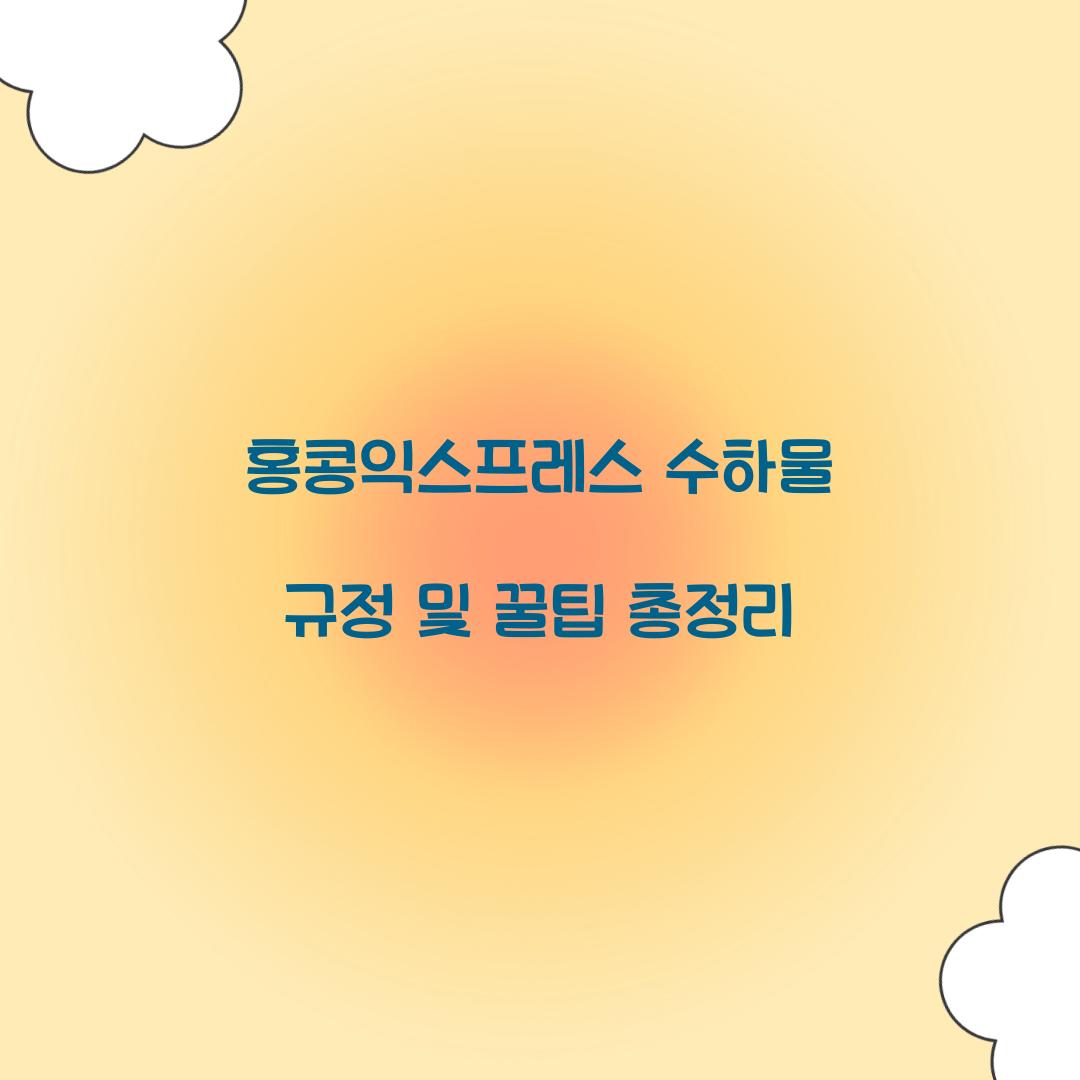 홍콩익스프레스 수하물