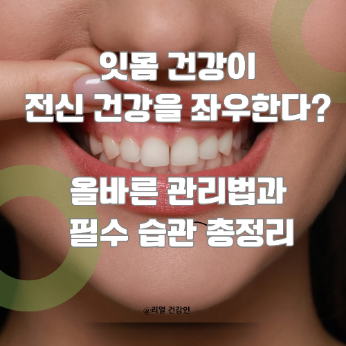 잇몸 건강이 전신 건강을 좌우한다? 올바른 관리법과 필수 습관 총정리