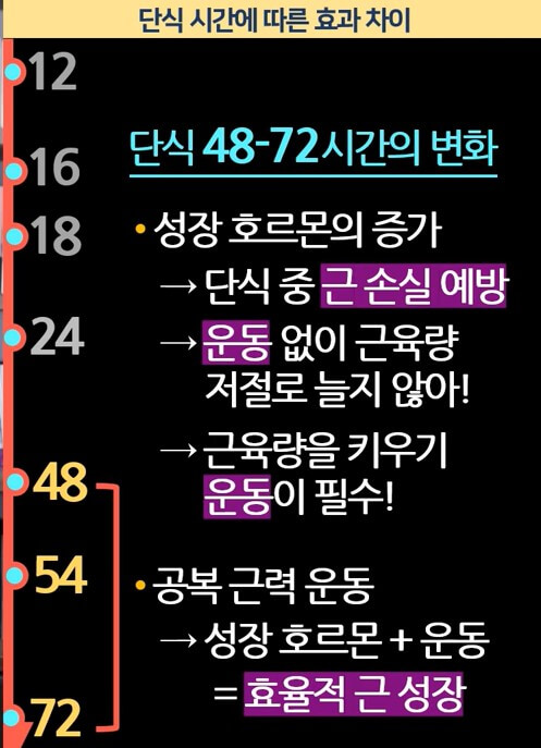 근손실 막는 식단 샘플