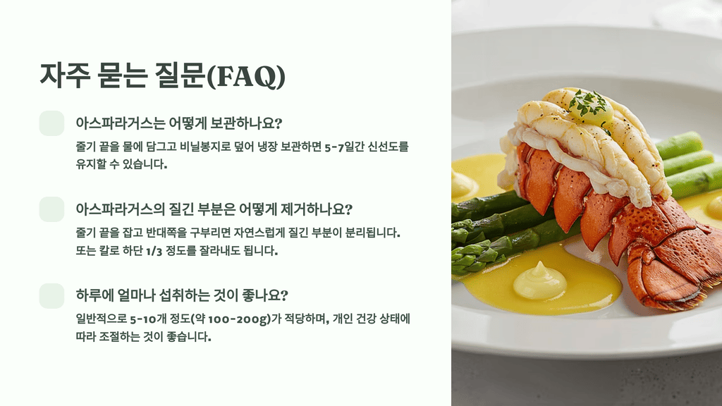 자주 묻는 질문(FAQ)