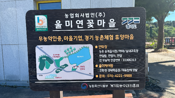 울미연꽃마을