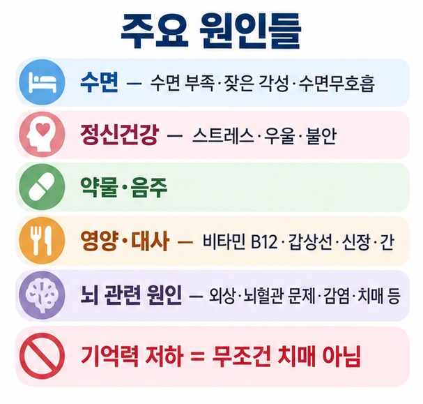 수면 정신건강 약물과 음주 영양과 대사 뇌 질환으로 기억력 감퇴 원인을 구분해 보여주는 표