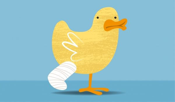 4년 연임제 장점