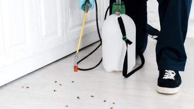 바퀴벌레 퇴치하는 사진