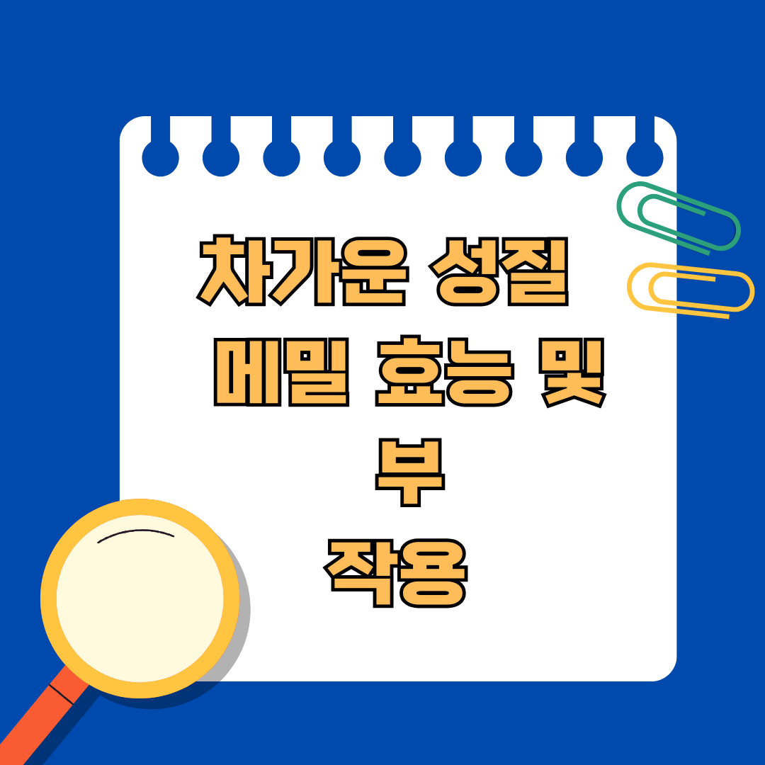차가운 성질의 메밀 알고먹자 !! 메밀 효능 vs 부작용
