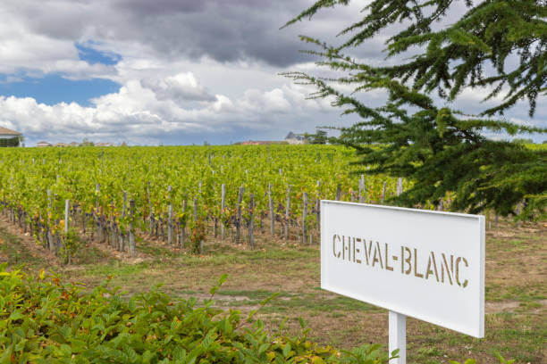 ์๋ ๋ธ๋(Chenin Blanc)