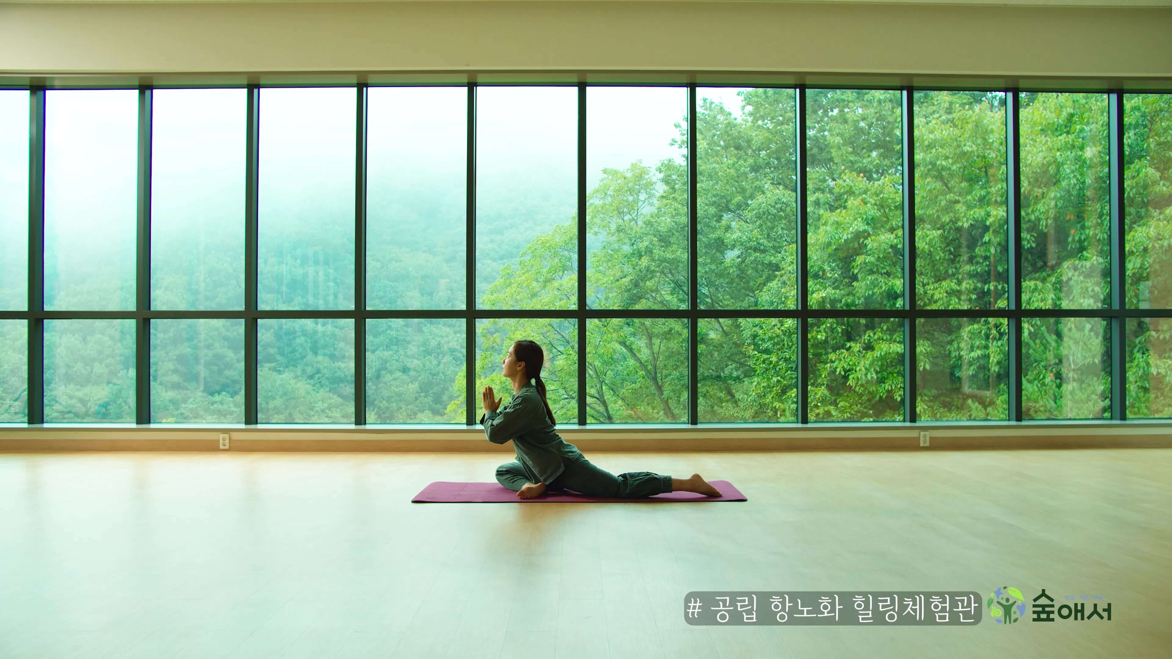 몸 마음 치유 여행 힐링 투어