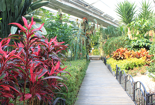 베어트리파크 봄꽃