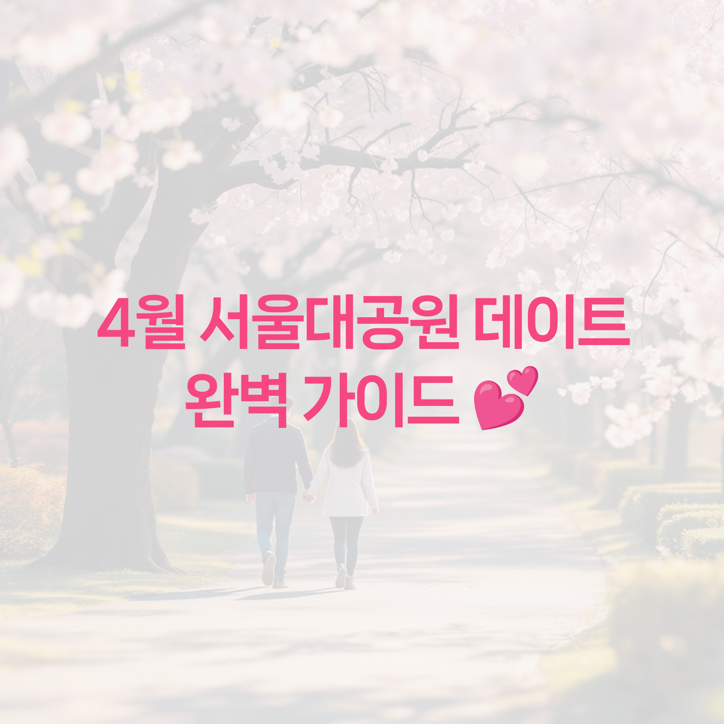 벚꽃 이미지