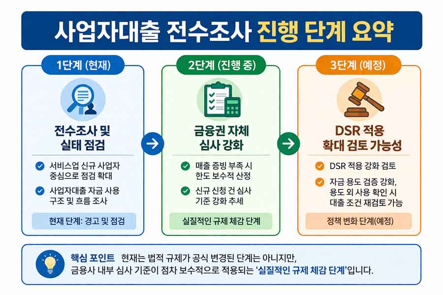 사업자대출 전수조사 진행 단계와 금융권 심사 강화 흐름 요약 이미지