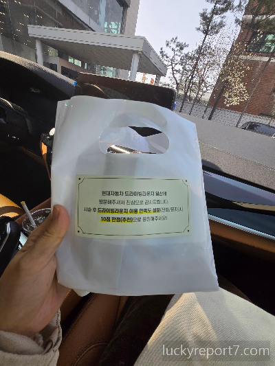 아이오닉9-시승기-기념선물