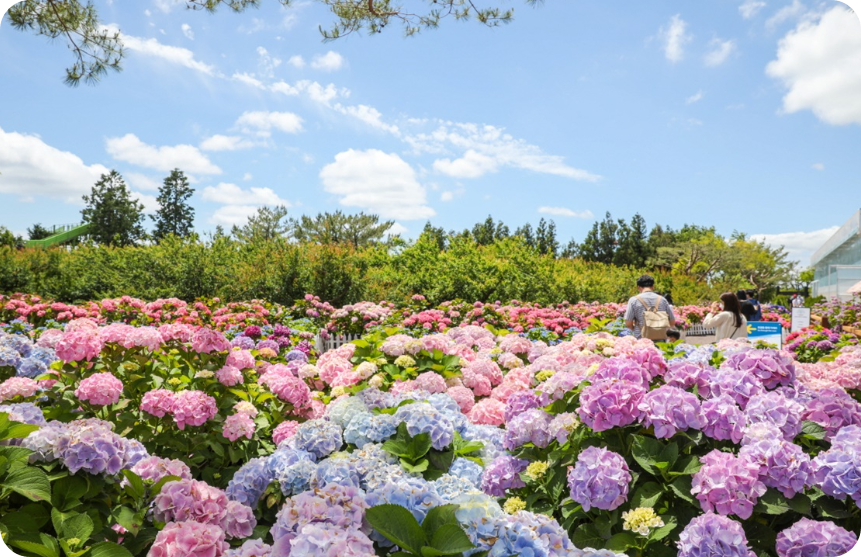 휴애리 자연생활공원사진