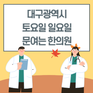 대구 토요일 일요일 한의원 진료 병원 리스트