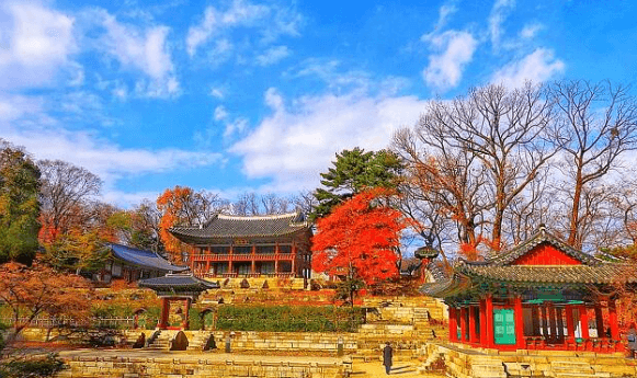 단풍구경-가볼만한-곳-창덕궁
