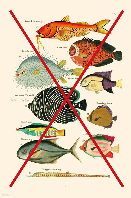 2025 경기도 독서포인트제 완벽 가이드 &amp;#124; 책 읽고 최대 6만원 받는 꿀팁 총정리