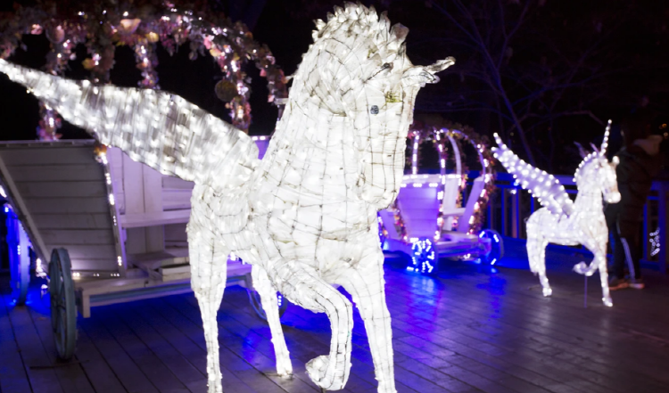 안산 별빛마을 별빛축제