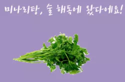 미나리3